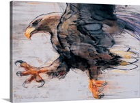 Talons - White tailed Sea Eagle, 2001 (charcoal