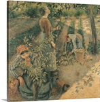 The Apple Pickers, 1886 (oil on canvas)