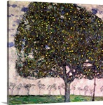 The Apple Tree II, 1916 (oil on canvas)