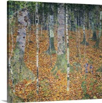 The Birch Wood, 1903 (oil on canvas)