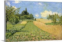 The Cornfield (near Argenteuil) (oil on canvas)