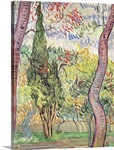 The Garden of St. Pauls Hospital, St. Remy, October 1889 (oil on canvas)