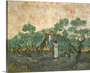 The Olive Pickers, Saint-Remy, 1889