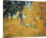 The Park at St. Paul's Hospital, St. Remy, 1889