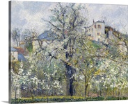 The Vegetable Garden with Trees in Blossom, Spring, Pontoise, 1877 (oil on canvas)