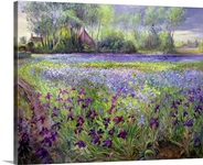Trackway past the Iris Field, 1991