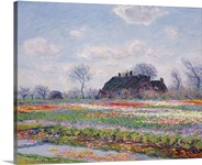 Tulip Fields at Sassenheim, near Leiden, 1886 (oil on canvas)