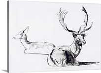 Unexpected Autumn Sun (charcoal on paper)