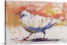Walking Dove, Trasierra, 1998 (conte and charcoal on paper)