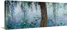 Waterlilies: Morning with Weeping Willows