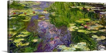 Waterlilies (oil on canvas)