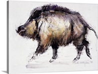 Wild Boar, 1999 (graphite, conte and charcoal on paper)