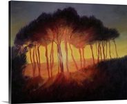 Wild Trees at Sunset, 2002 (oil on canvas)