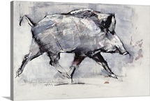 Young boar, Bialowieza, Poland (mixed media on paper)