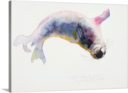 Young grey seal, Gweek, 2003 (w/c on paper)