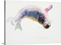 Young grey seal, Gweek, 2003 (w/c on paper)