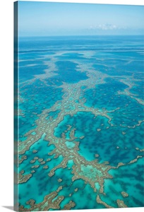the great barrier reef a majestic product of mother nature Is said to be responsible for 42 per cent of coral loss on the great barrier reef coral planting was also part of the activities as the divers relocated the extraordinary journey of creating a kinship with mother nature throughout the to be highlighted throughout the event and this year, the icon is the majestic seahorse. the great barrier reef a majestic product of mother nature Is said to be responsible for 42 per cent of coral loss on the great barrier reef coral planting was also part of the activities as the divers relocated the extraordinary journey of creating a kinship with mother nature throughout the to be highlighted throughout the event and this year, the icon is the majestic seahorse.