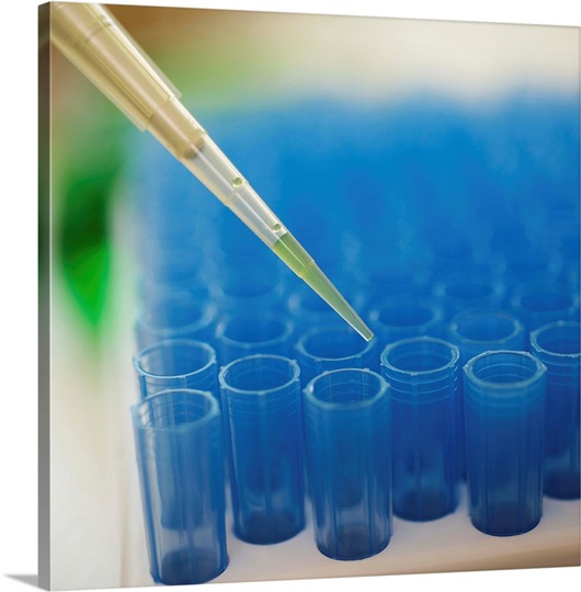 Test Tube Experiment Photo Canvas Print Great Big Canvas