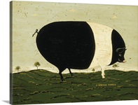 Black and White Pig