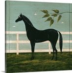 Black Horse Fenced
