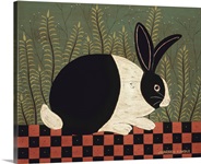 Checkerboard Bunny