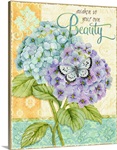 Hydrangeas - Beauty
