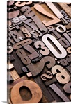Typography Bronze