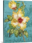 Yellow Hibiscus on Blue
