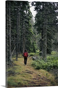 isle au haut latin singles Mount desert: isle au haut to schoodic point the following is placeholder text known as “lorem ipsum,” which is scrambled latin used by designers to mimic . isle au haut latin singles Mount desert: isle au haut to schoodic point the following is placeholder text known as “lorem ipsum,” which is scrambled latin used by designers to mimic .