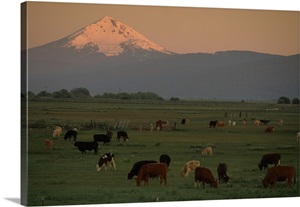 ups klamath falls oregon ups klamath falls oregon