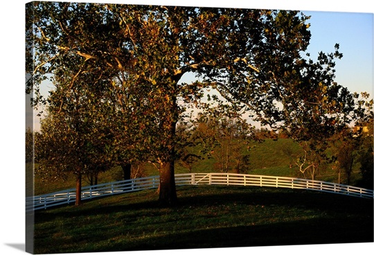pleasant hill big and beautiful singles Shaker village of pleasant hill - the inn: beautiful and peaceful - see 304 traveler reviews, 220 candid photos, and great deals for shaker village of. pleasant hill big and beautiful singles Shaker village of pleasant hill - the inn: beautiful and peaceful - see 304 traveler reviews, 220 candid photos, and great deals for shaker village of.
