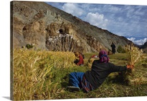 Zanskar Valley, Jammu And Kashmir Province,India