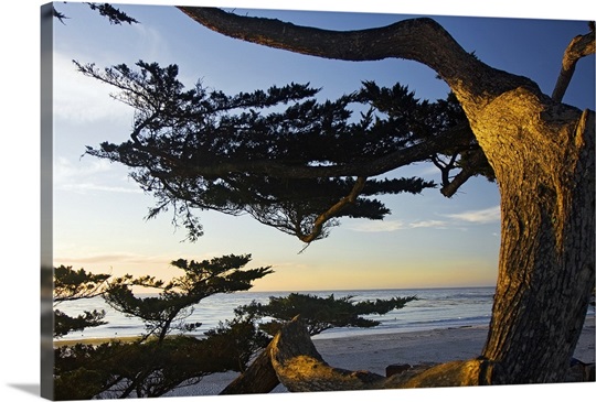 Carmel Sunset 2