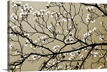Dogwood I