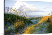 Dunes I