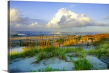 Dunes I