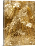 Fractal Light II