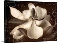 Garden Journal I