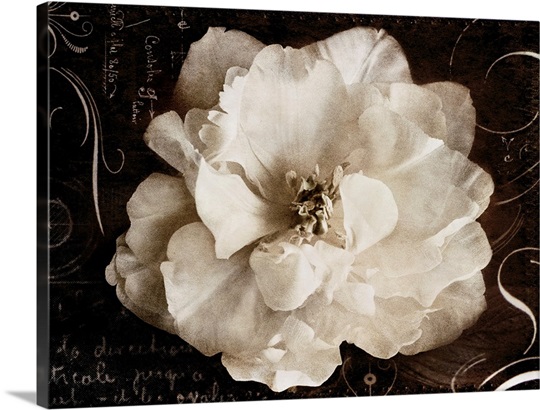 Garden Journal II