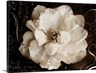 Garden Journal II