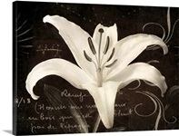 Garden Journal III