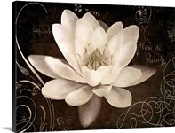 Garden Journal IV