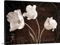 Garden Love Letter II