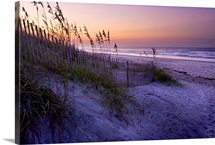 Lavender Beach I