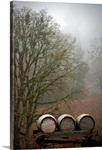 Oregon Wine Country I