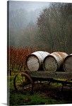 Oregon Wine Country II