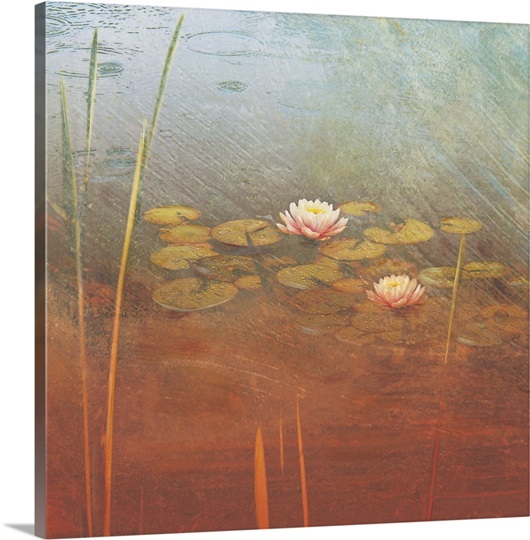 Pond Lilies II