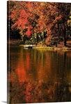 Red Reflections
