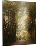 Road of Mysteries II