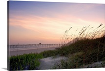 Rosey Sunset I